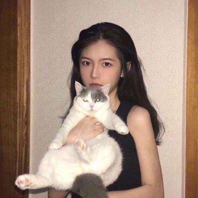剑与翼九游版下载